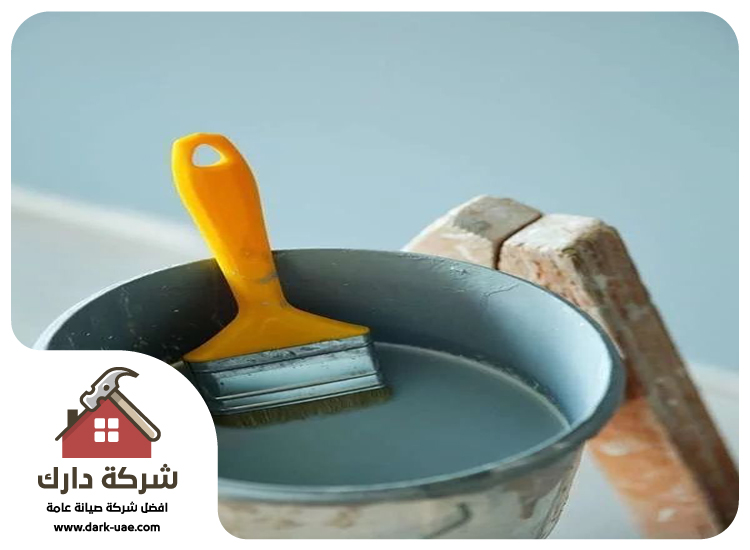 شركة صبغ في ديرة